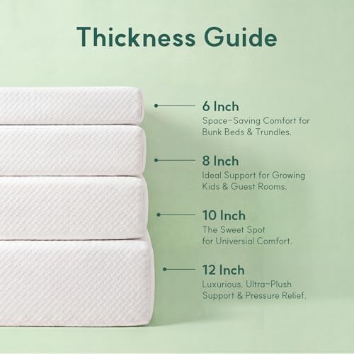 Queen Mattress, 10 Inch Queen  - đánh giá và giá Memory Foam Mattress In A Box Queen