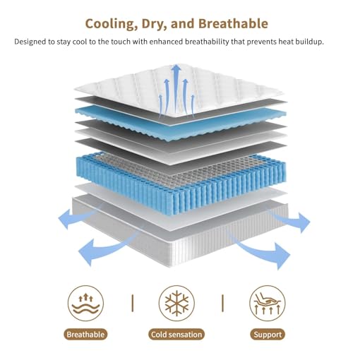 Queen Mattress, 14 Inch Hybrid - đánh giá và giá Memory Foam Mattress In A Box Queen